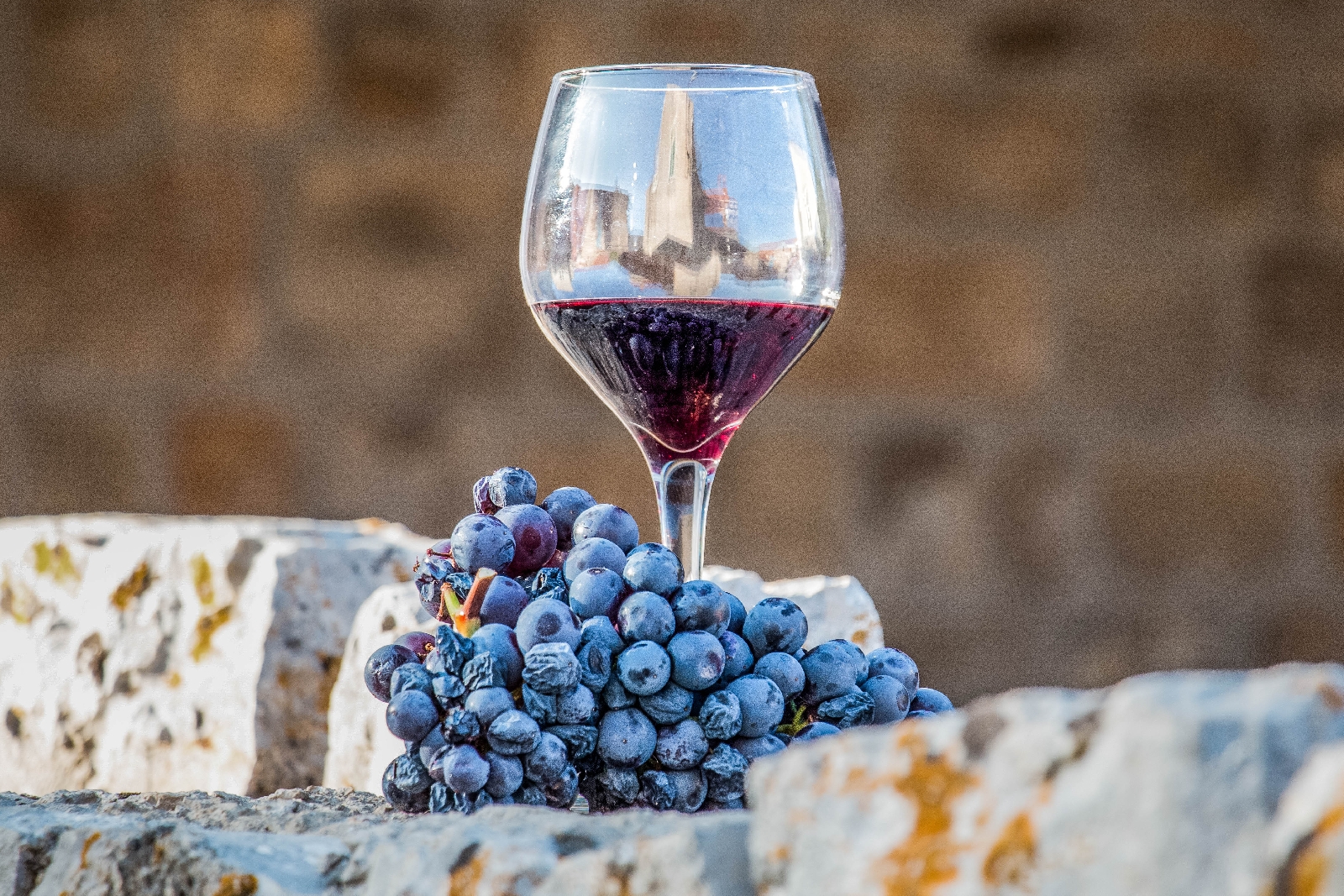 Wine Fest - Trpanj